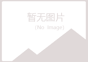 阿勒泰曼山机械有限公司